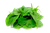 Spinach Spinach